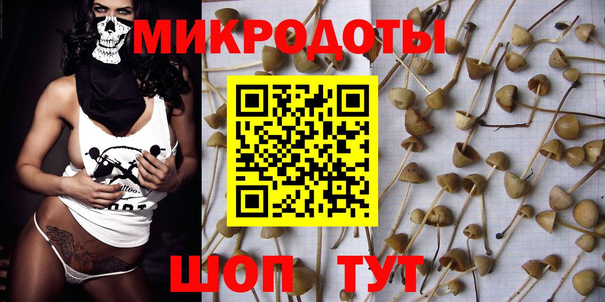 Елизово  Псилоцибиновые грибы прущие грибы  Вход с VPN  Псилоцибиновые грибы Psilocybine cubensis 